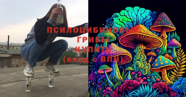 apvp Аркадак