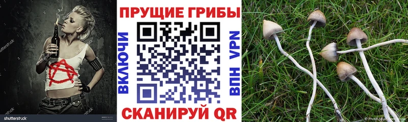Галлюциногенные грибы MAGIC MUSHROOMS Гудермес
